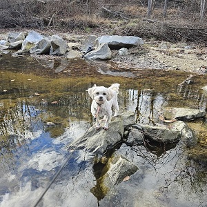 Hiking